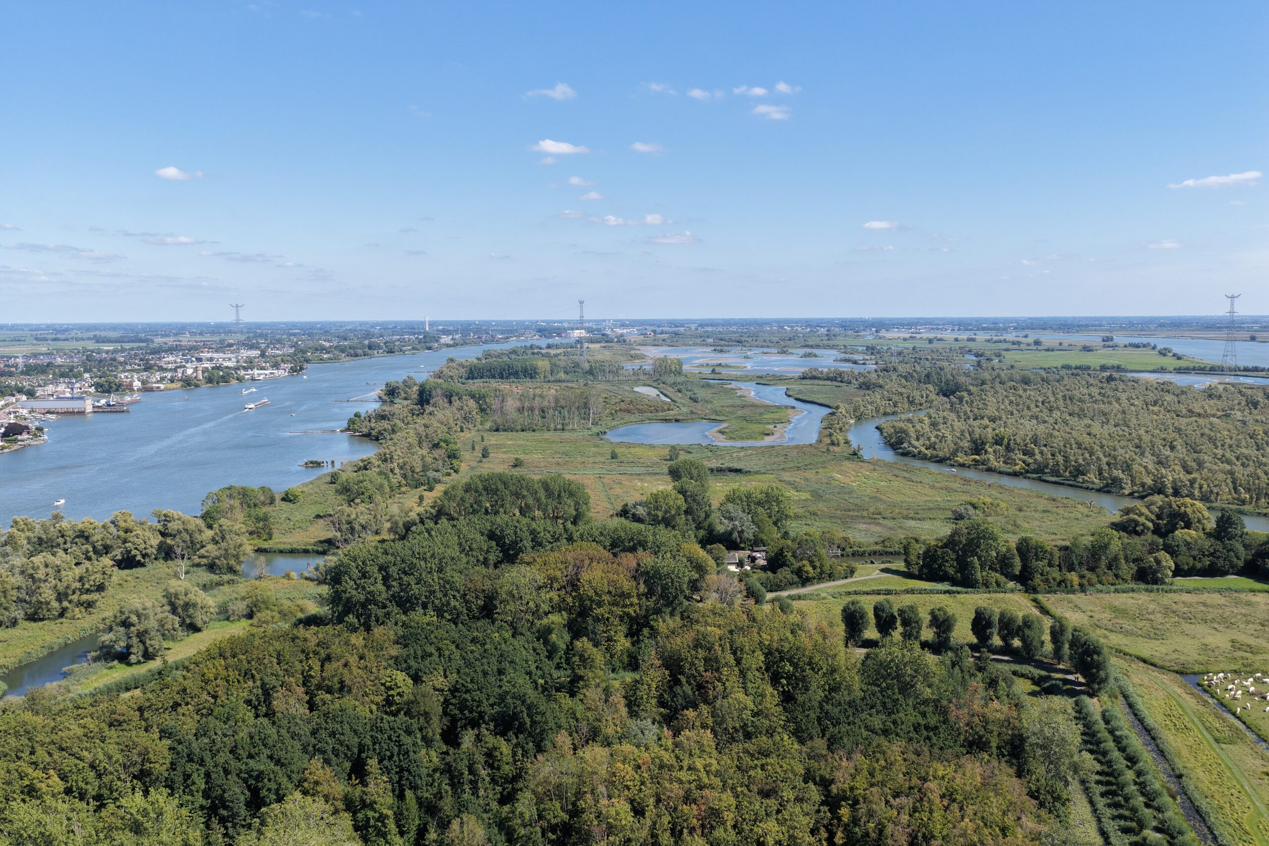 Nationaal Park de Biesbosch